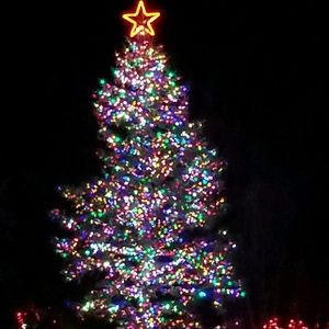 Meet your Posher, Jaclyn